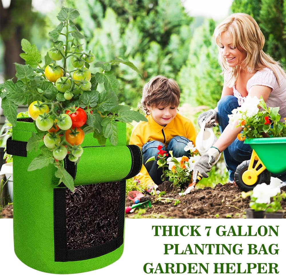 Potato Grow Bags with Flap, 4 Pack 10 Gallon Planter Bags with Harvest  Window and Durable Handles, Garden Non-Woven Fabric Grow Bags for Potato  Tomato